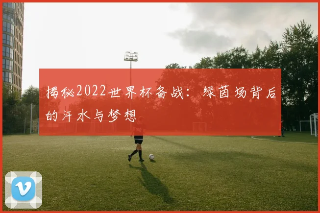 揭秘2022世界杯备战：绿茵场背后的汗水与梦想