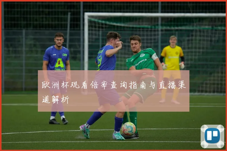 欧洲杯观看倍率查询指南与直播渠道解析