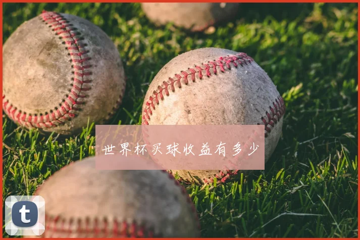 世界杯买球收益有多少
