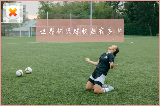 世界杯买球收益有多少