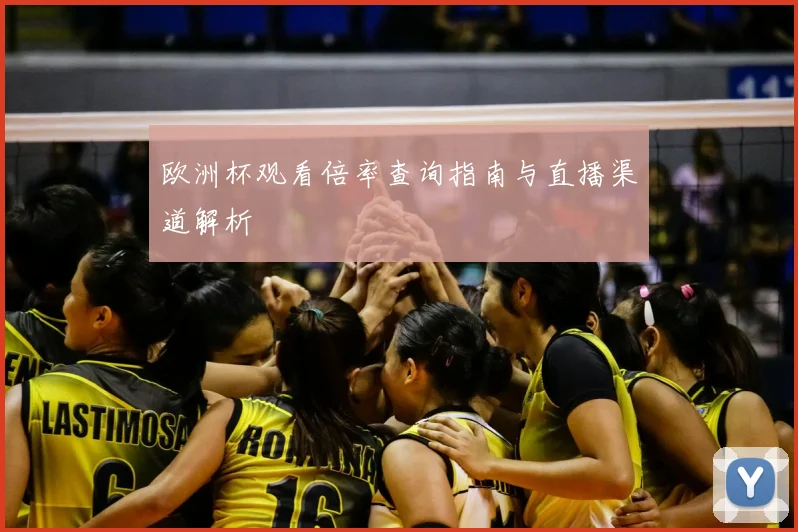 欧洲杯观看倍率查询指南与直播渠道解析