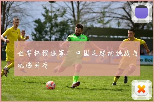世界杯预选赛:中国足球的挑战与机遇并存