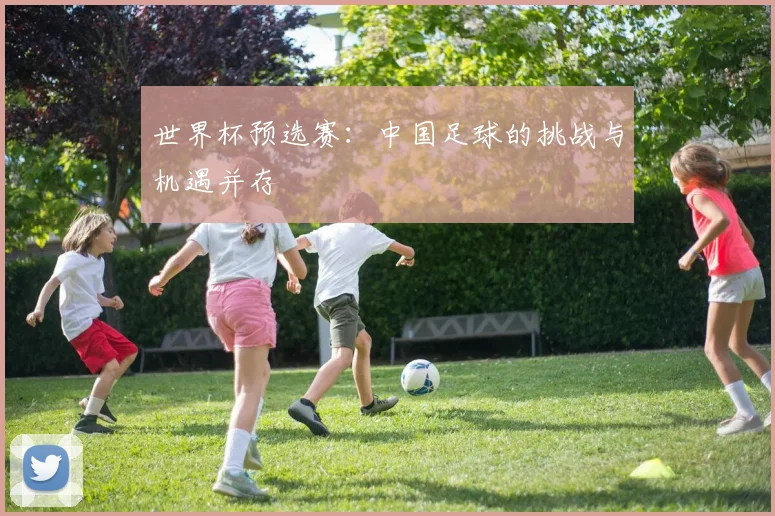 世界杯预选赛：中国足球的挑战与机遇并存